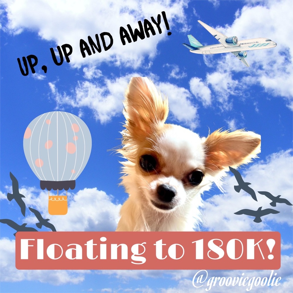 💜 Follow me to 250K! 💗 - Picture 3 of 12